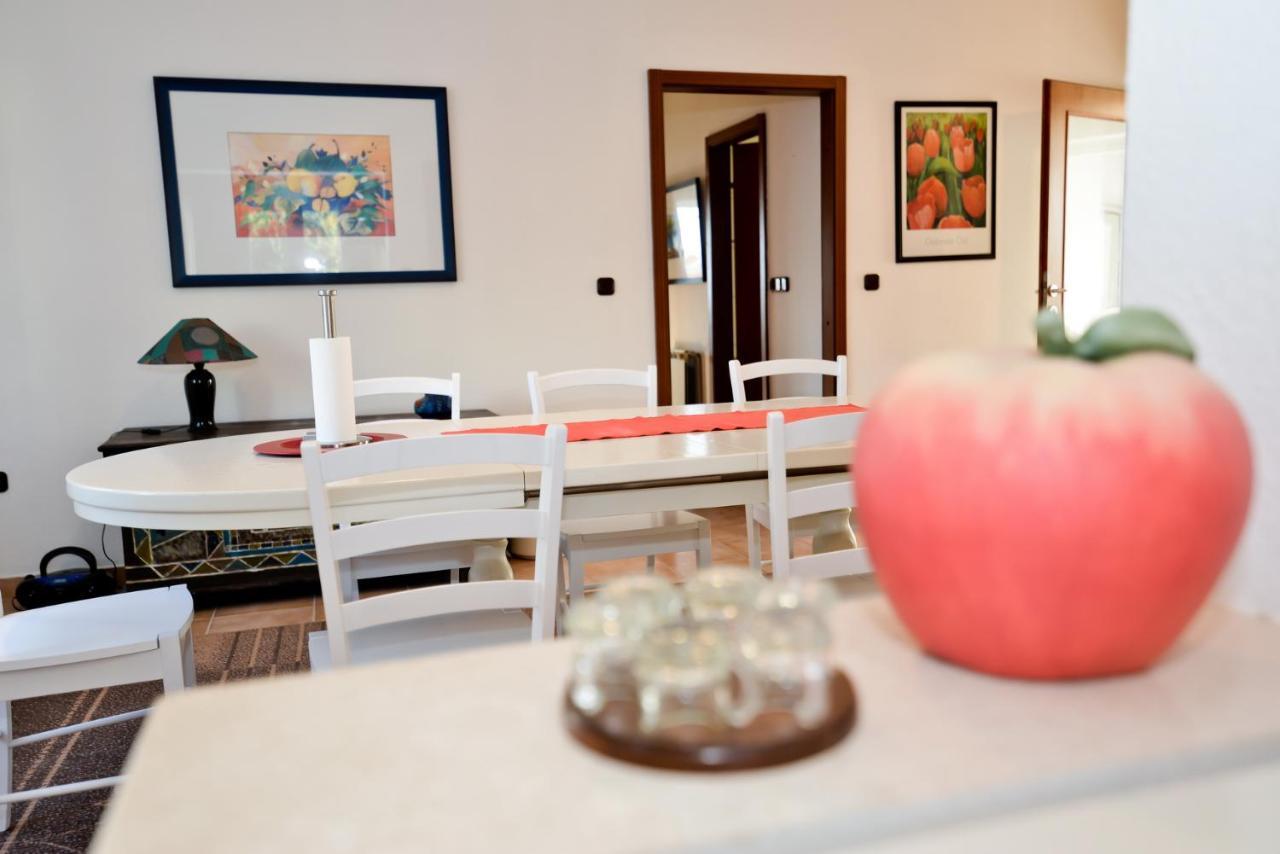 Apartmani Vidikovac Dokoza 자다르 외부 사진